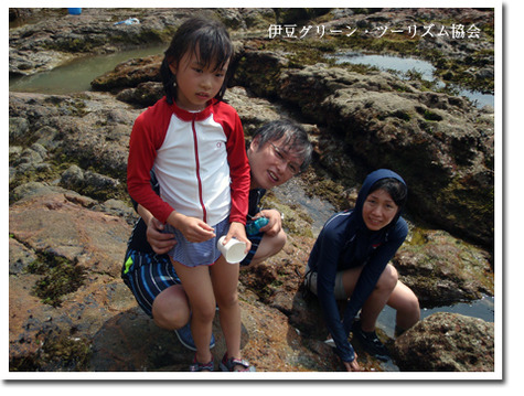 稲川ファミリー、西伊豆水族館