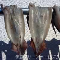 イカ大漁の安良里沖