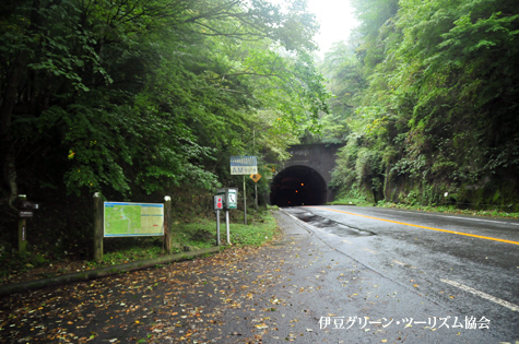 新天城トンネル