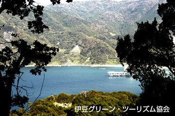 宇久須絶景ポイント