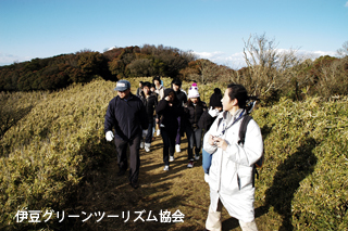 JOYZ!達磨山トレッキング