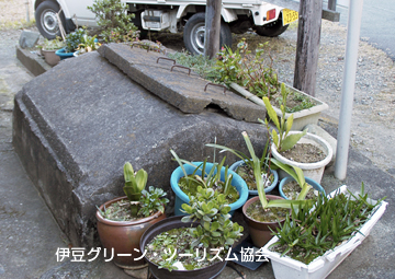 井戸の名残(宇久須地元学)