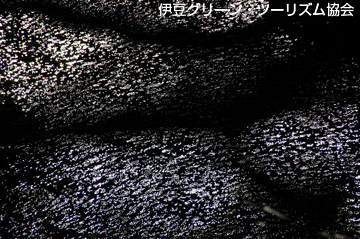 光の織り成す影