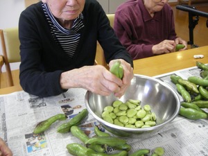 皆でそらまめ!!