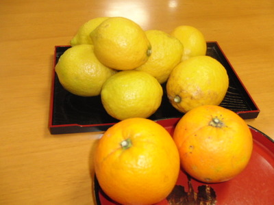 レモンのいただきもの