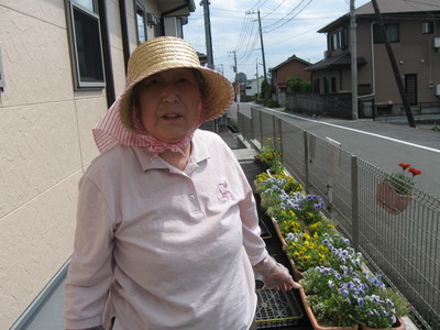 花の苗の植え替えの準備