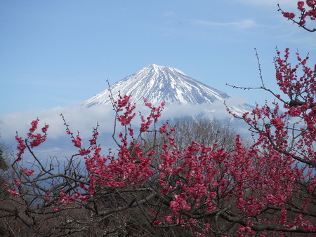 岩本山公園へ