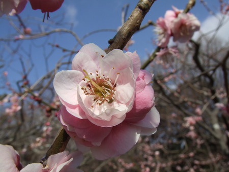 岩本山公園へ