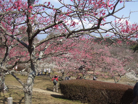岩本山公園へ