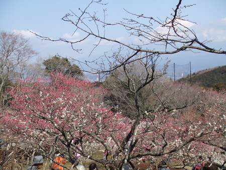 岩本山公園へ