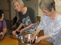 昔なつかしい【赤シソ】・・・との格闘
