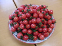 昼食メニューのお手伝い