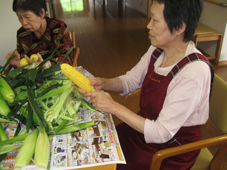 今日も新鮮なとうもろこしを頂きました
