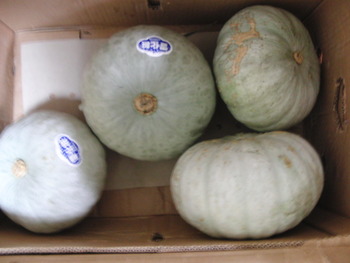 北海道から旬の野菜が届く