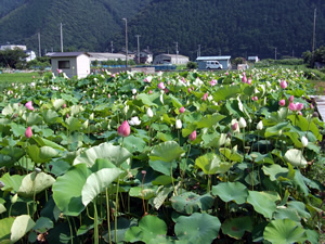 静岡県産業廃棄物適正処理推進研修会