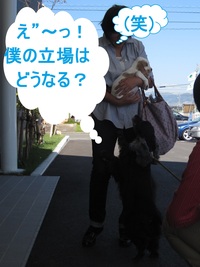 プライスレス あるわけねぇだろう、んなもん!なんて言わせない