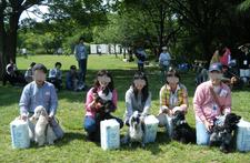 12 HappyTail Meeting in 横浜本牧