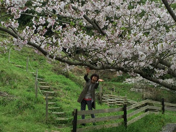 【満開の桜の下で撮影会】 【満開の桜の下で撮影会】