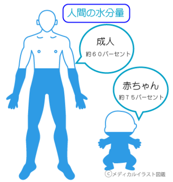 【どうして40代に入ると肌はくすむの?】 【どうして40代に入ると肌はくすむの?】