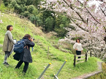 【満開の桜の下で撮影会】 【満開の桜の下で撮影会】