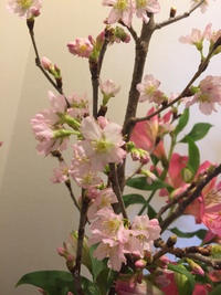 【暖かかったですね！】