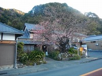 お陽様のありがたさを感じる天気です！！