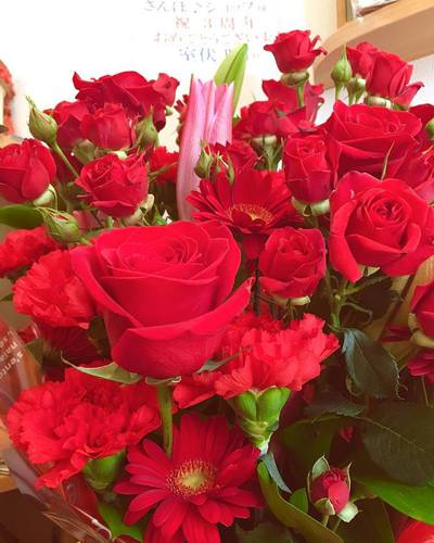 花のある風景っていいな♪お世話が苦手だけど花だらけにしたくなった 花のある風景っていいな♪お世話が苦手だけど花だらけにしたくなった