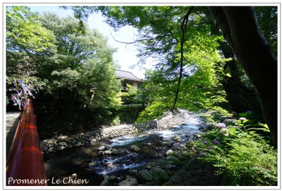 PPC(Pantas Photo Club)合宿、フル参加!撮影しまくり〜♪