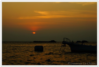 PPC(Pantas Photo Club)合宿、フル参加!撮影しまくり〜♪