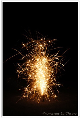 PPC(Pantas Photo Club)合宿☆〜夜の部編〜