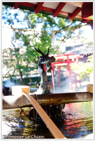 PPC(Pantas Photo Club)活動in熱海〜来宮神社編〜その1