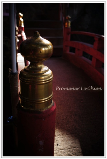 PPC(Pantas Photo Club)活動in熱海〜来宮神社編〜その1