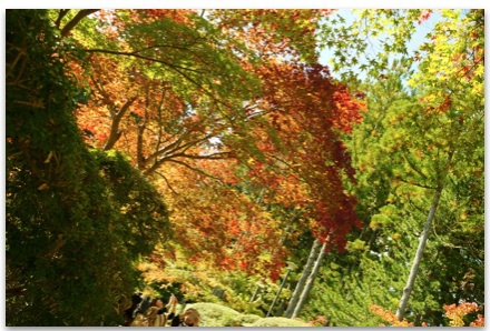 御朱印倶楽部*10月〜高野山 開創1200年ご開帳〜日帰りバスツアーの限界に挑戦!? 御朱印倶楽部*10月〜高野山 開創1200年ご開帳〜日帰りバスツアーの限界に挑戦!?