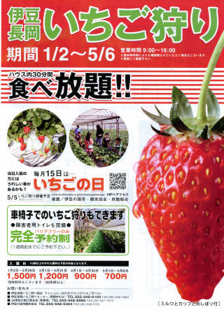 伊豆長岡いちご狩り