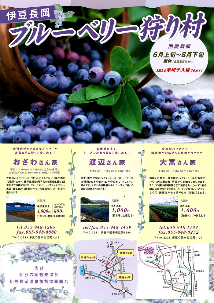 ブルーベリー狩り村