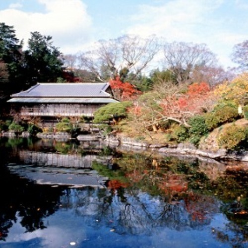 三島市立公園・楽寿園のもみじ