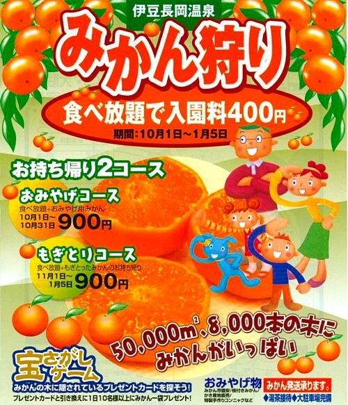小坂みかん狩り