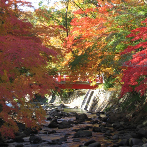 修禅寺、竹林の小径の紅葉