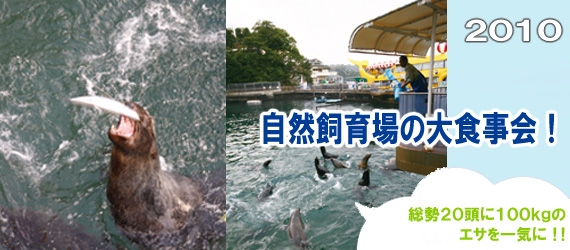 三津シーパラダイス