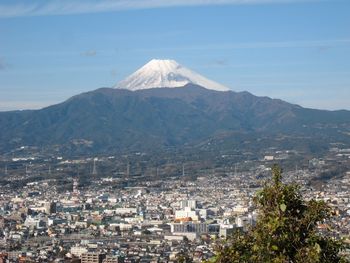 枯れ葉と水仙と富士山