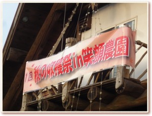 秋の収穫祭in笑顔農園を終えて。。。