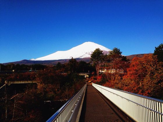 今年最後の「カモシカに会えるかな。。富士山グランドキャニオン」ツアー