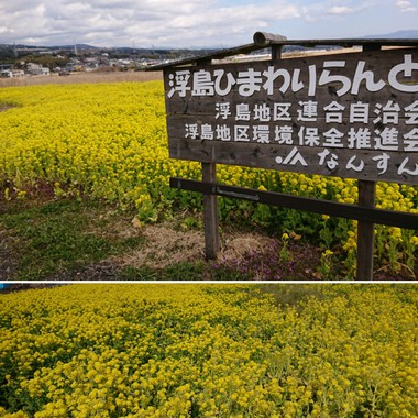 3月のヨガの日程、「三寒四温 自律神経のはたらき高めよう」 3月のヨガの日程、「三寒四温 自律神経のはたらき高めよう」