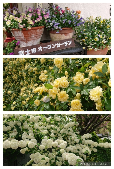 富士市のガーデンテラスで5/3ヨガ開催します 富士市のガーデンテラスで5/3ヨガ開催します