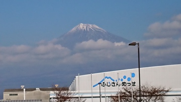 12月のヨガの日程・冬の病は夏に治す 12月のヨガの日程・冬の病は夏に治す