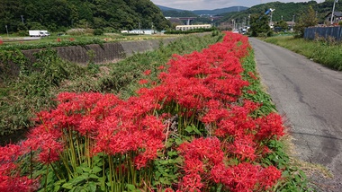 10月のヨガの日程 10月のヨガの日程