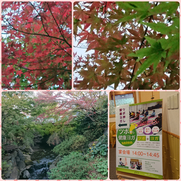 時之栖のイルミネーションと紅葉 時之栖のイルミネーションと紅葉