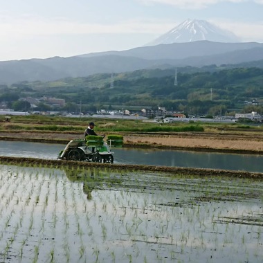 6月のヨガの日程 6月のヨガの日程