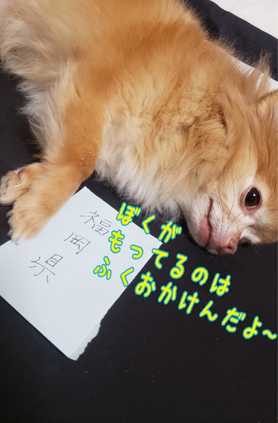 【無料公開】宮坂メソッド#5〜テストで10点取れなかった私が家庭学習だけでトップ校に合格した勉強法〜 【無料公開】宮坂メソッド#5〜テストで10点取れなかった私が家庭学習だけでトップ校に合格した勉強法〜