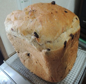 パン焼きましたぁ♪ ♯pan